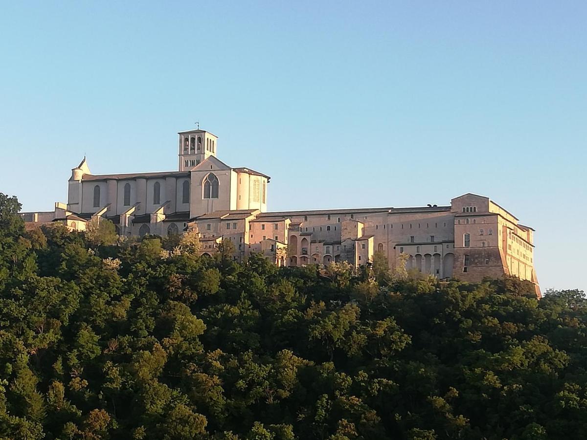 Bed and Breakfast La Casa Tra Gli Ulivi Assisi Exterior foto